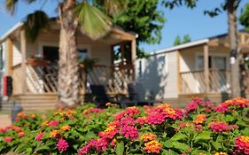 Camping El Pinar